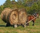 Фермера с лошадью обращается перевозки